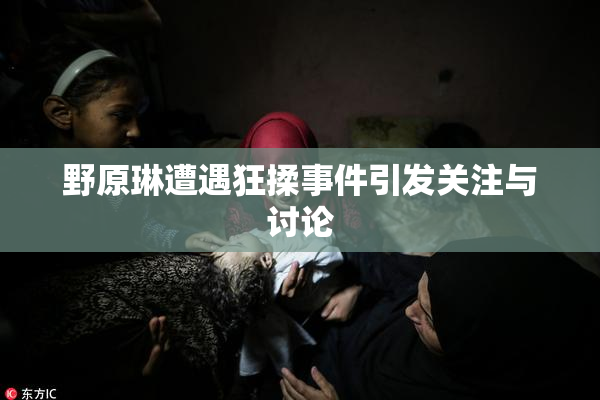野原琳遭遇狂揉事件引发关注与讨论