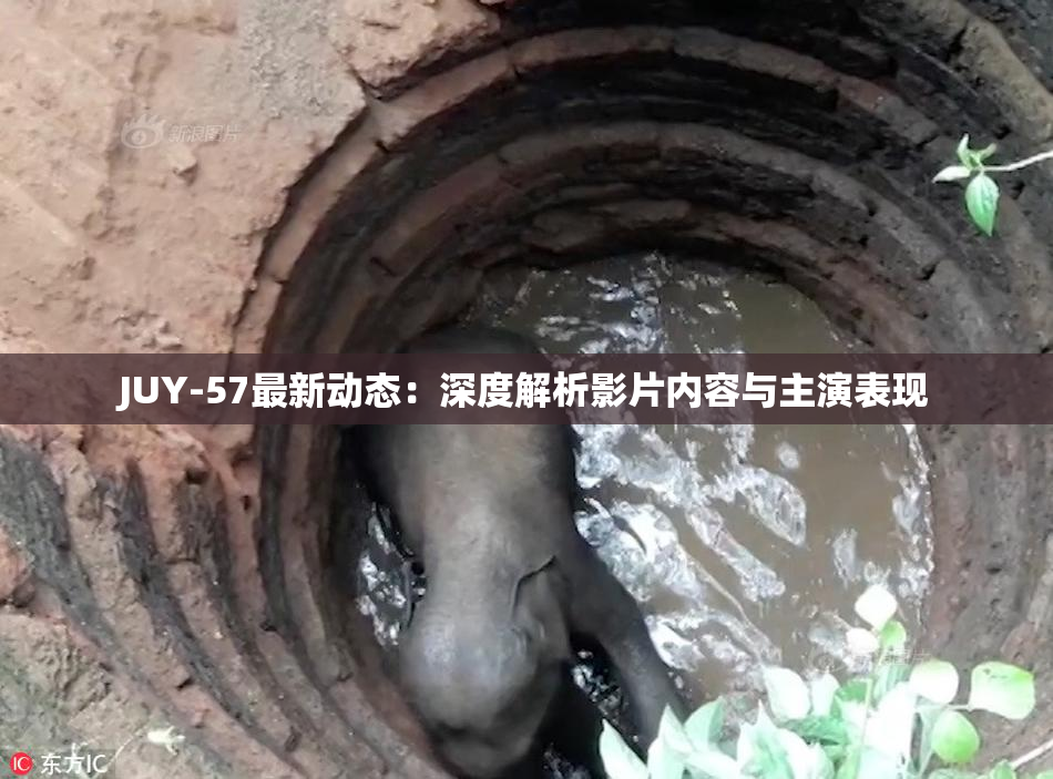 JUY-57最新动态：深度解析影片内容与主演表现