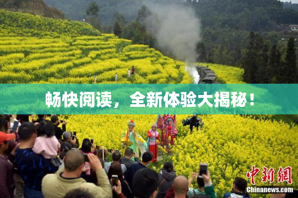 畅快阅读，全新体验大揭秘！