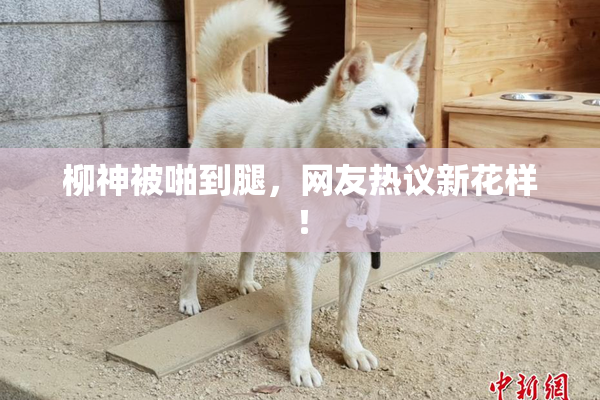 柳神被啪到腿，网友热议新花样！