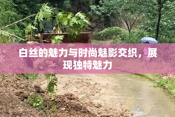 白丝的魅力与时尚魅影交织，展现独特魅力