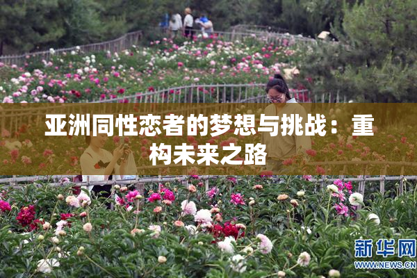 亚洲同性恋者的梦想与挑战：重构未来之路