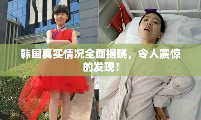 韩国真实情况全面揭晓，令人震惊的发现！