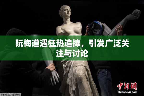 阮梅遭遇狂热追捧，引发广泛关注与讨论