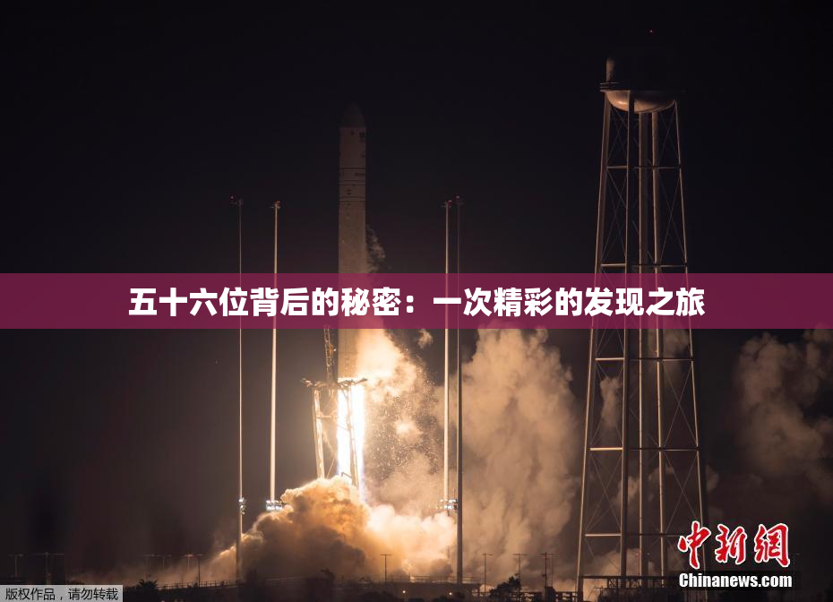 五十六位背后的秘密：一次精彩的发现之旅