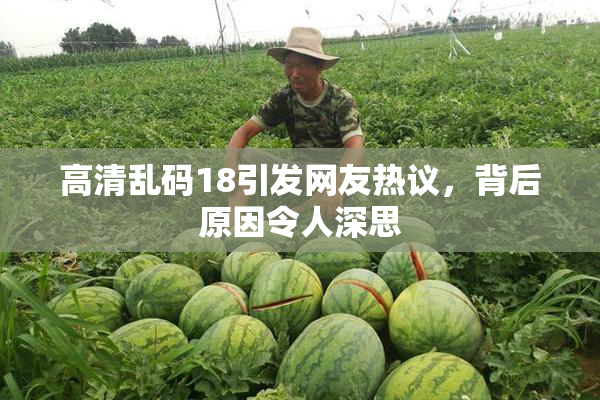 高清乱码18引发网友热议，背后原因令人深思