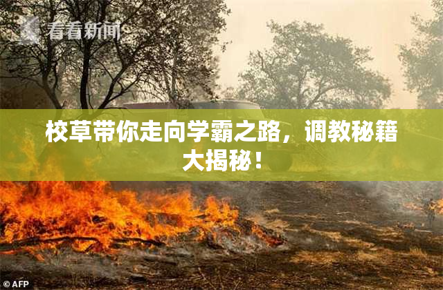 校草带你走向学霸之路，调教秘籍大揭秘！