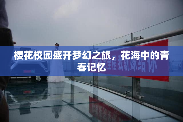 樱花校园盛开梦幻之旅，花海中的青春记忆