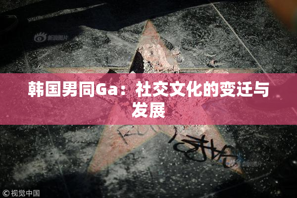 韩国男同Ga：社交文化的变迁与发展