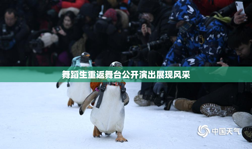舞蹈生重返舞台公开演出展现风采