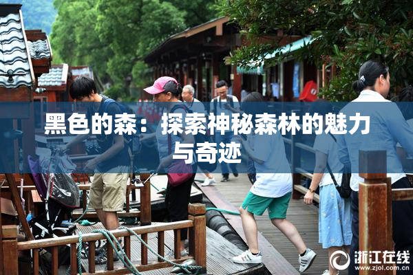 黑色的森：探索神秘森林的魅力与奇迹