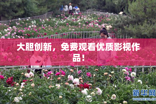 大胆创新，免费观看优质影视作品！
