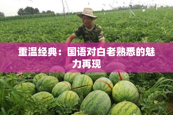 重温经典：国语对白老熟悉的魅力再现