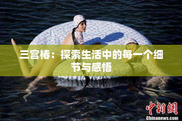 三宫椿：探索生活中的每一个细节与感悟
