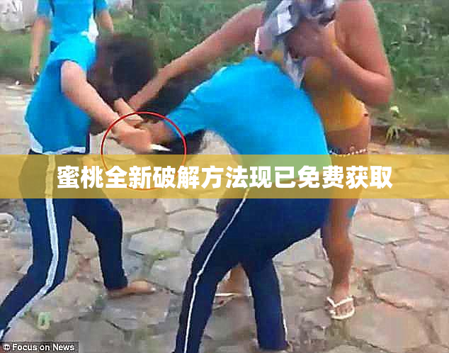 蜜桃全新破解方法现已免费获取