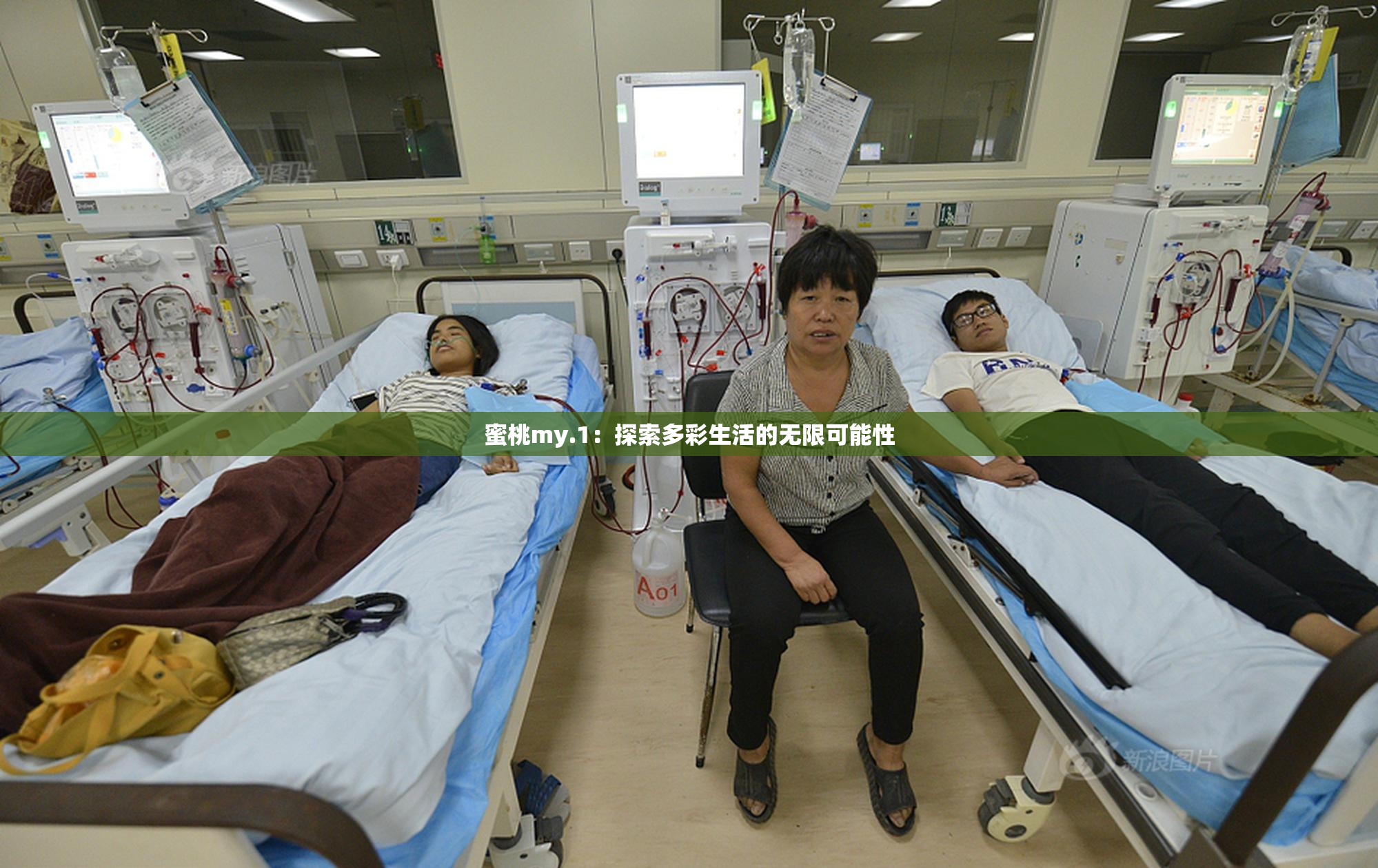 蜜桃my.1：探索多彩生活的无限可能性