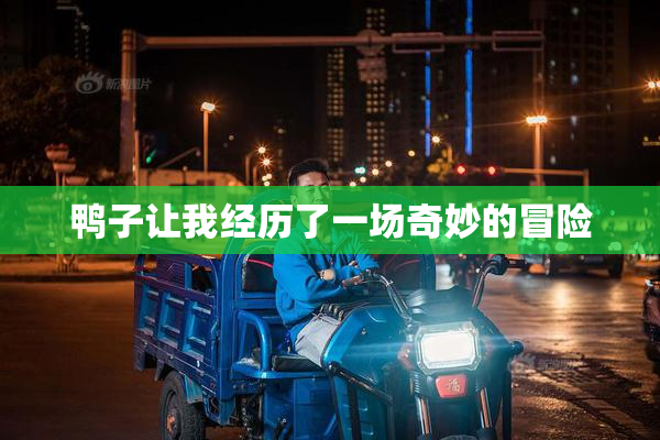 鸭子让我经历了一场奇妙的冒险