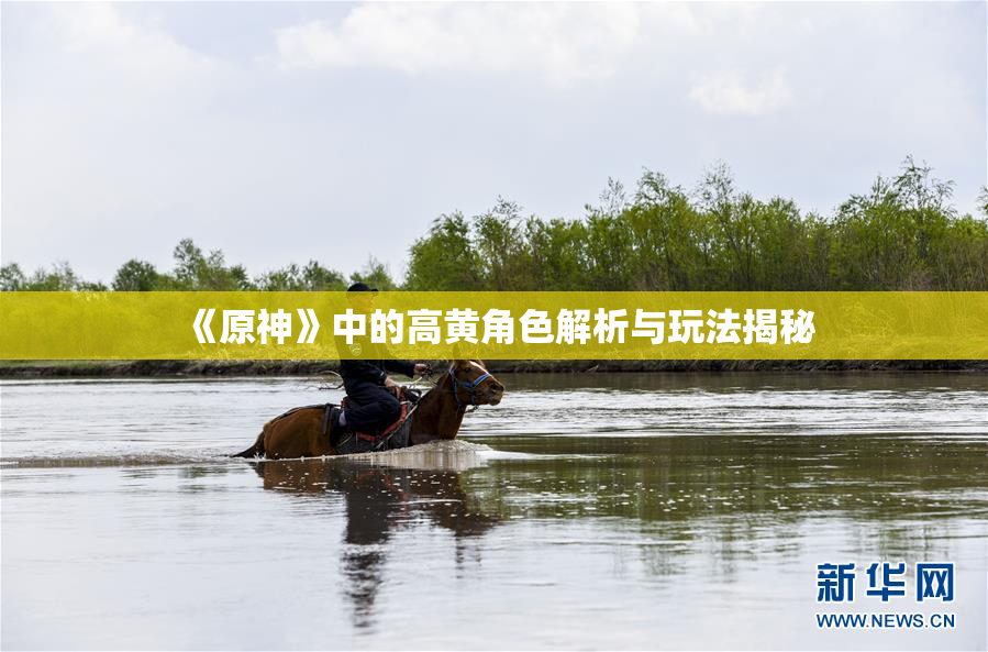 《原神》中的高黄角色解析与玩法揭秘
