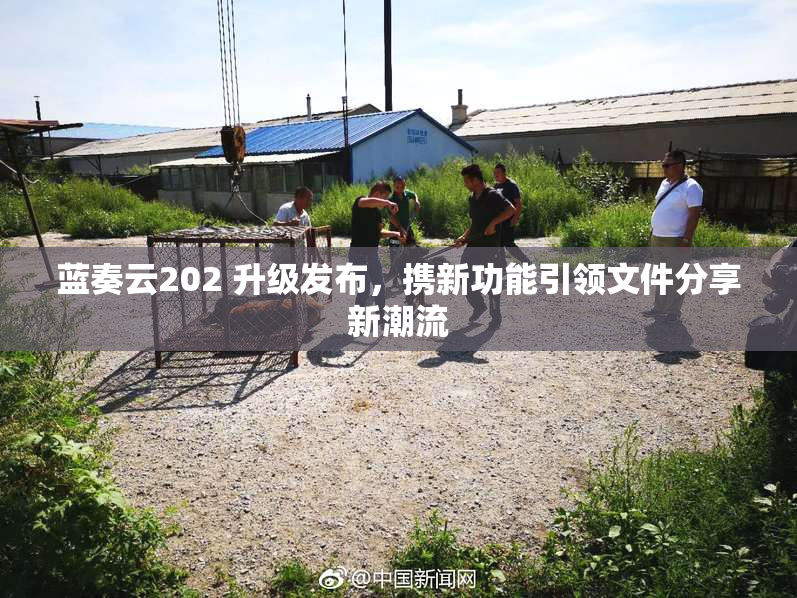 蓝奏云202 升级发布，携新功能引领文件分享新潮流