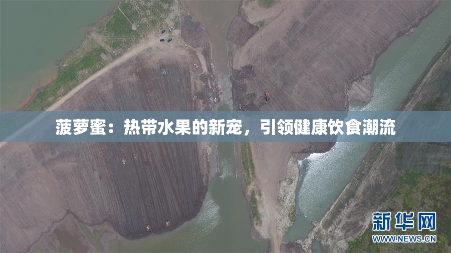 菠萝蜜：热带水果的新宠，引领健康饮食潮流