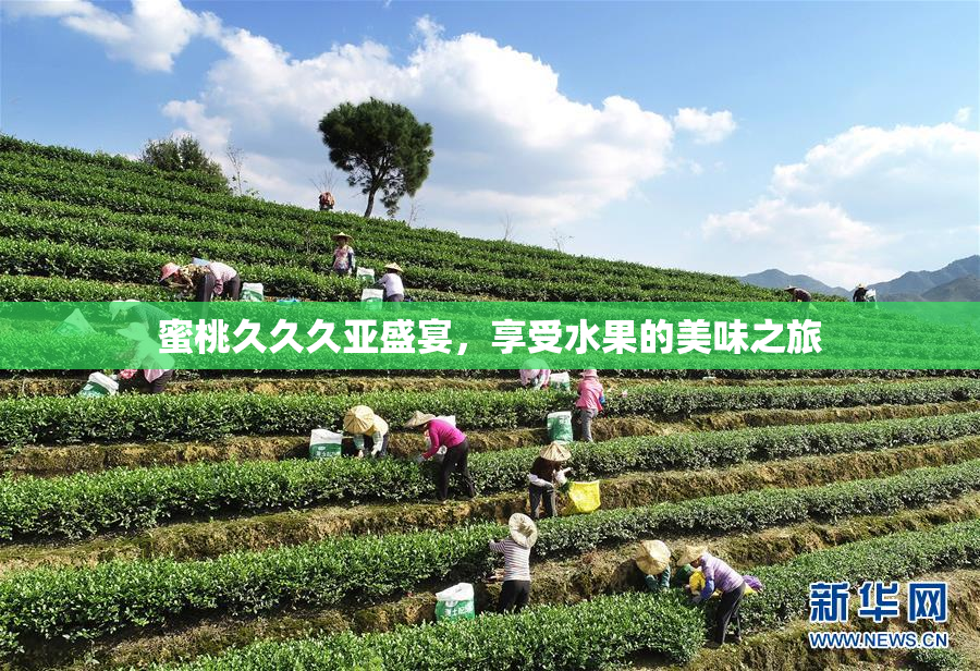 蜜桃久久久亚盛宴，享受水果的美味之旅