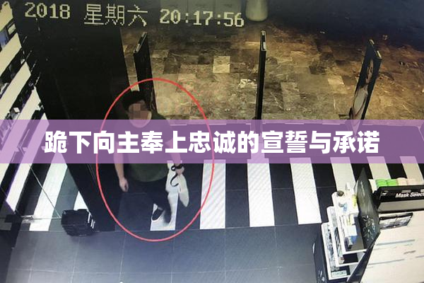 跪下向主奉上忠诚的宣誓与承诺