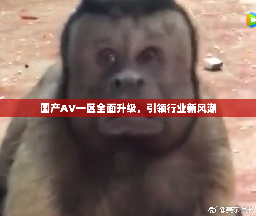 国产AV一区全面升级，引领行业新风潮