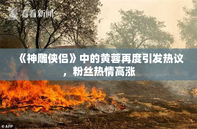 《神雕侠侣》中的黄蓉再度引发热议，粉丝热情高涨