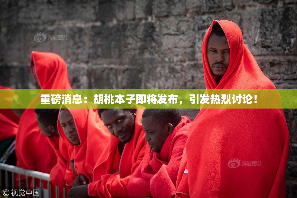 重磅消息：胡桃本子即将发布，引发热烈讨论！