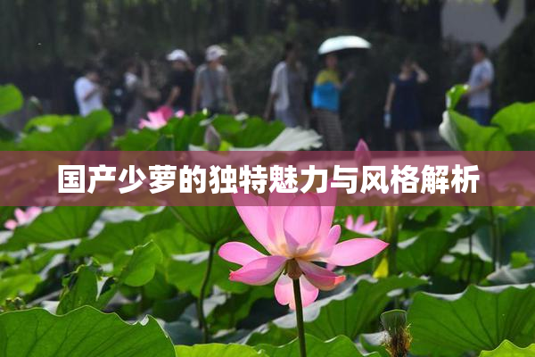国产少萝的独特魅力与风格解析