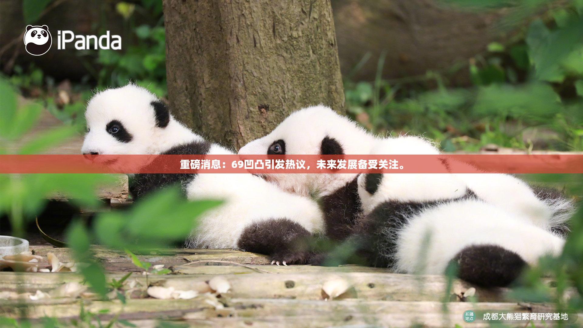 重磅消息：69凹凸引发热议，未来发展备受关注。