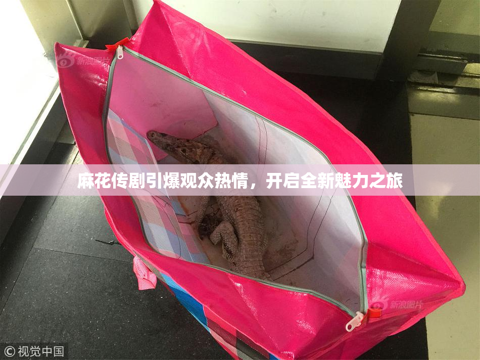 麻花传剧引爆观众热情，开启全新魅力之旅