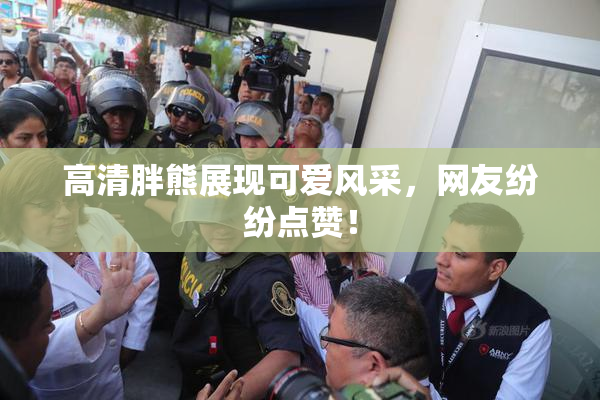 高清胖熊展现可爱风采，网友纷纷点赞！