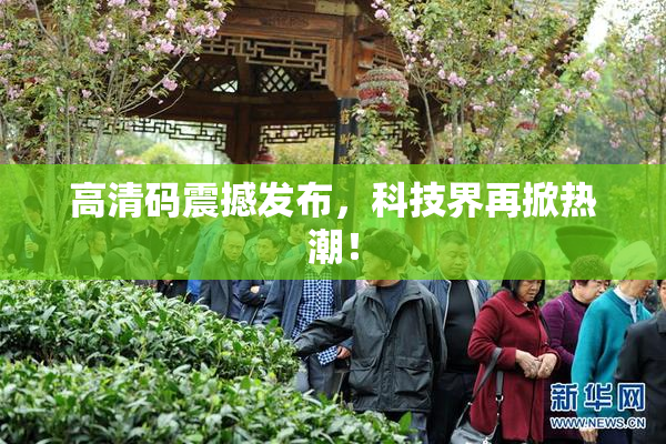 高清码震撼发布，科技界再掀热潮！