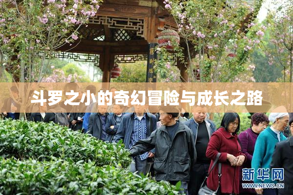 斗罗之小的奇幻冒险与成长之路