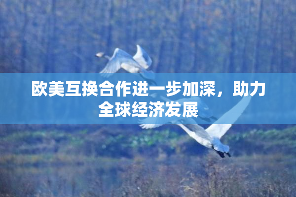 欧美互换合作进一步加深，助力全球经济发展