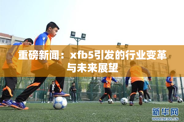 重磅新闻：xfb5引发的行业变革与未来展望