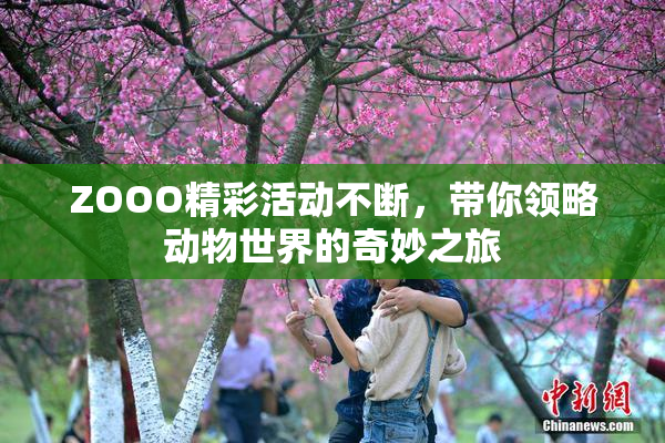 ZOOO精彩活动不断，带你领略动物世界的奇妙之旅