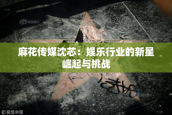 麻花传媒沈芯：娱乐行业的新星崛起与挑战