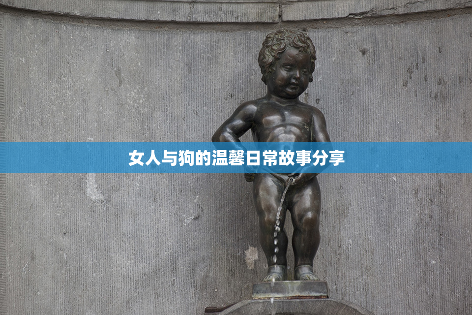 女人与狗的温馨日常故事分享