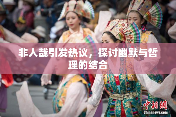 非人哉引发热议，探讨幽默与哲理的结合