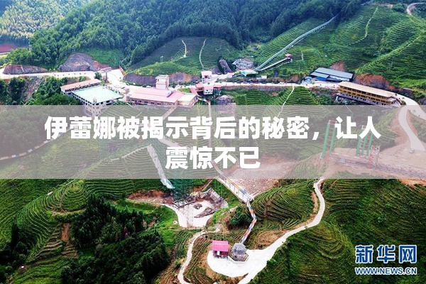 伊蕾娜被揭示背后的秘密，让人震惊不已