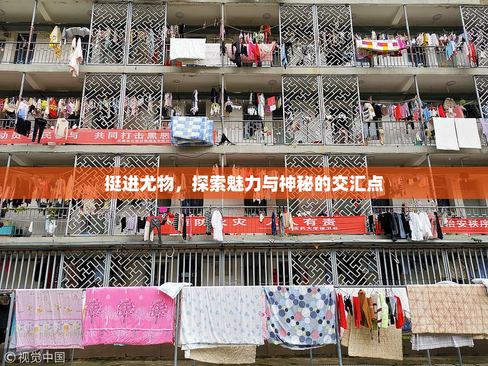 挺进尤物，探索魅力与神秘的交汇点