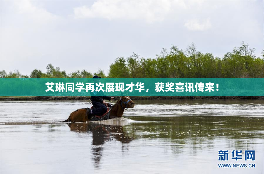 艾琳同学再次展现才华，获奖喜讯传来！