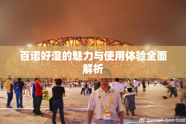 百诺好湿的魅力与使用体验全面解析