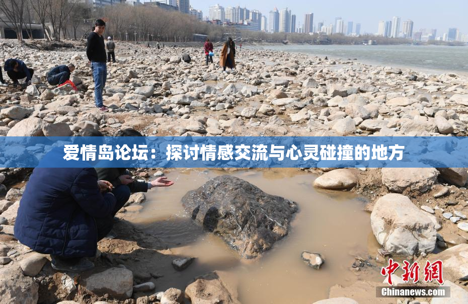 爱情岛论坛：探讨情感交流与心灵碰撞的地方