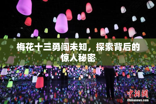 梅花十三勇闯未知，探索背后的惊人秘密