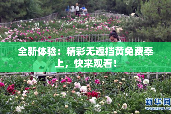 全新体验：精彩无遮挡黄免费奉上，快来观看！
