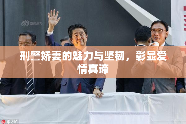 刑警娇妻的魅力与坚韧，彰显爱情真谛