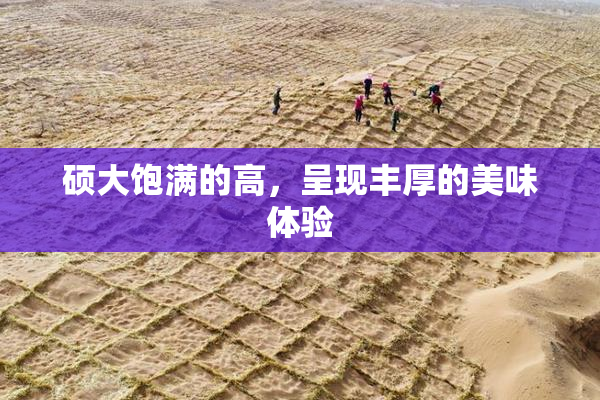 硕大饱满的高，呈现丰厚的美味体验